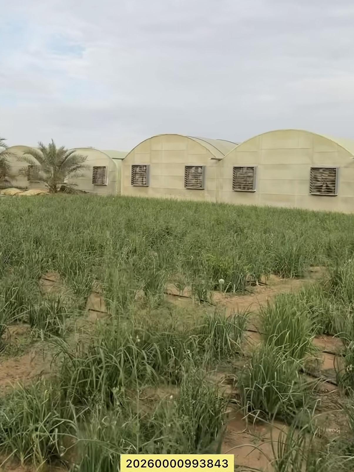 مزرعة العجبان سيح مدران