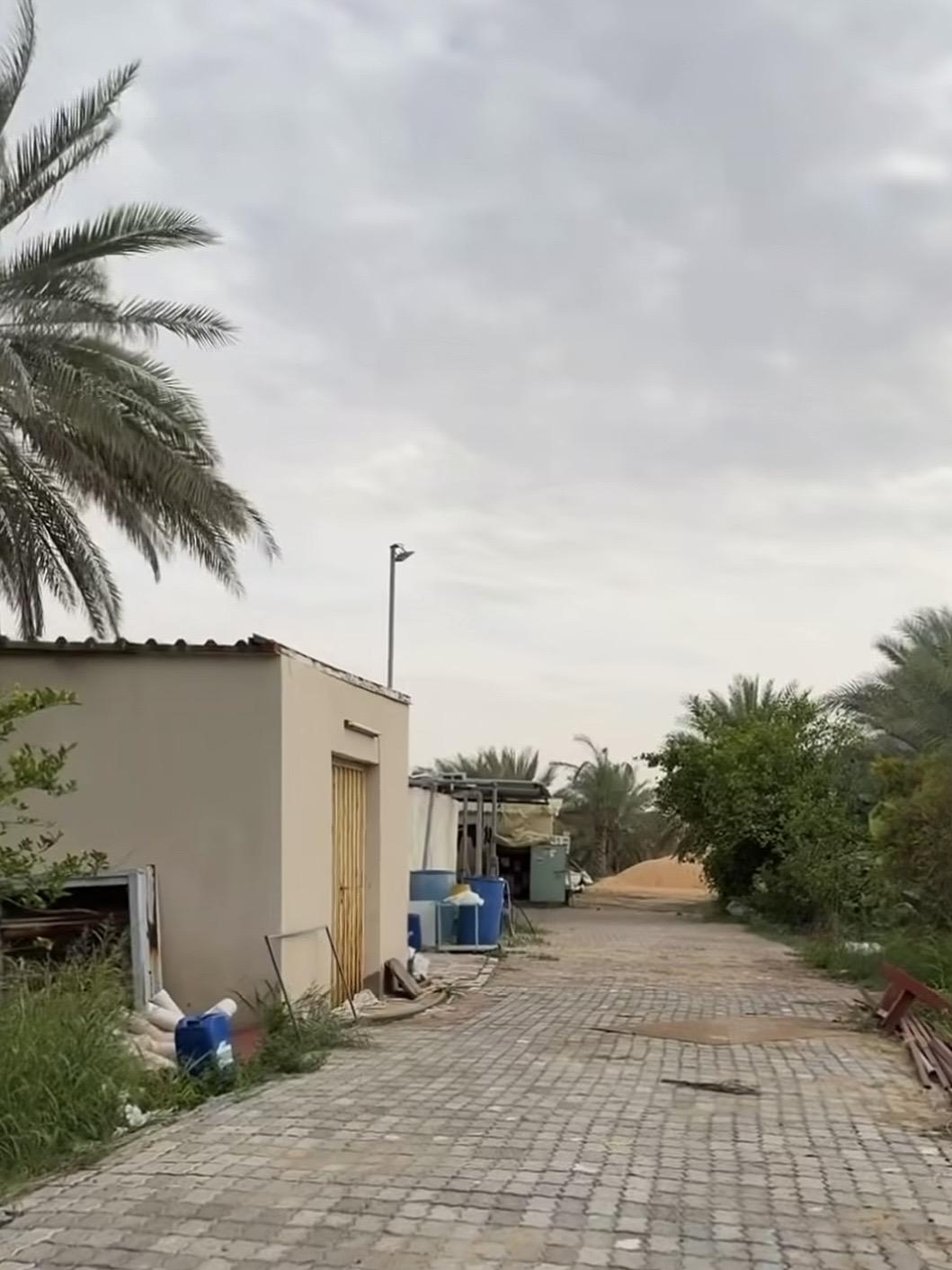 مزرعة العجبان سيح مدران