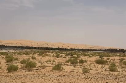 مزرعة ليوا محضر الهايله