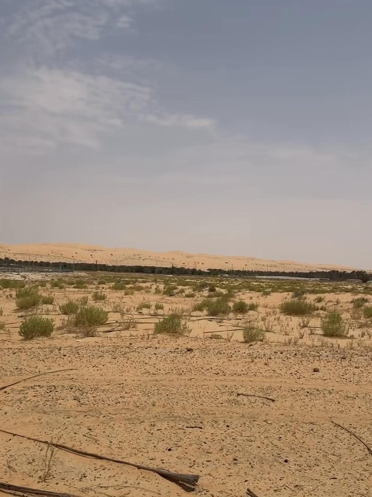 مزرعة ليوا محضر الهايله