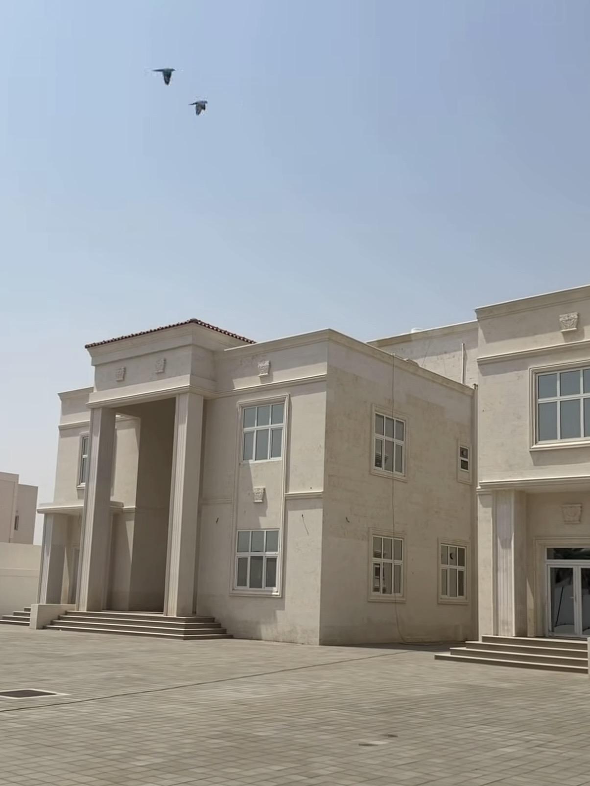 فلتين المرخانية الجداد