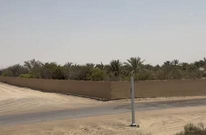 مزرعة النهظة الجديدة