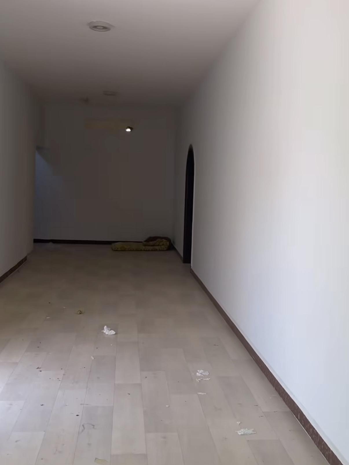 بيت الوثبة الجنوبية الجديدة