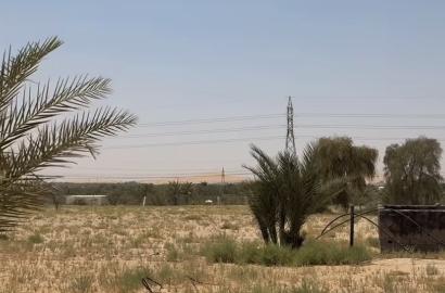 مزرعة رماح خط ابوظبي - العين