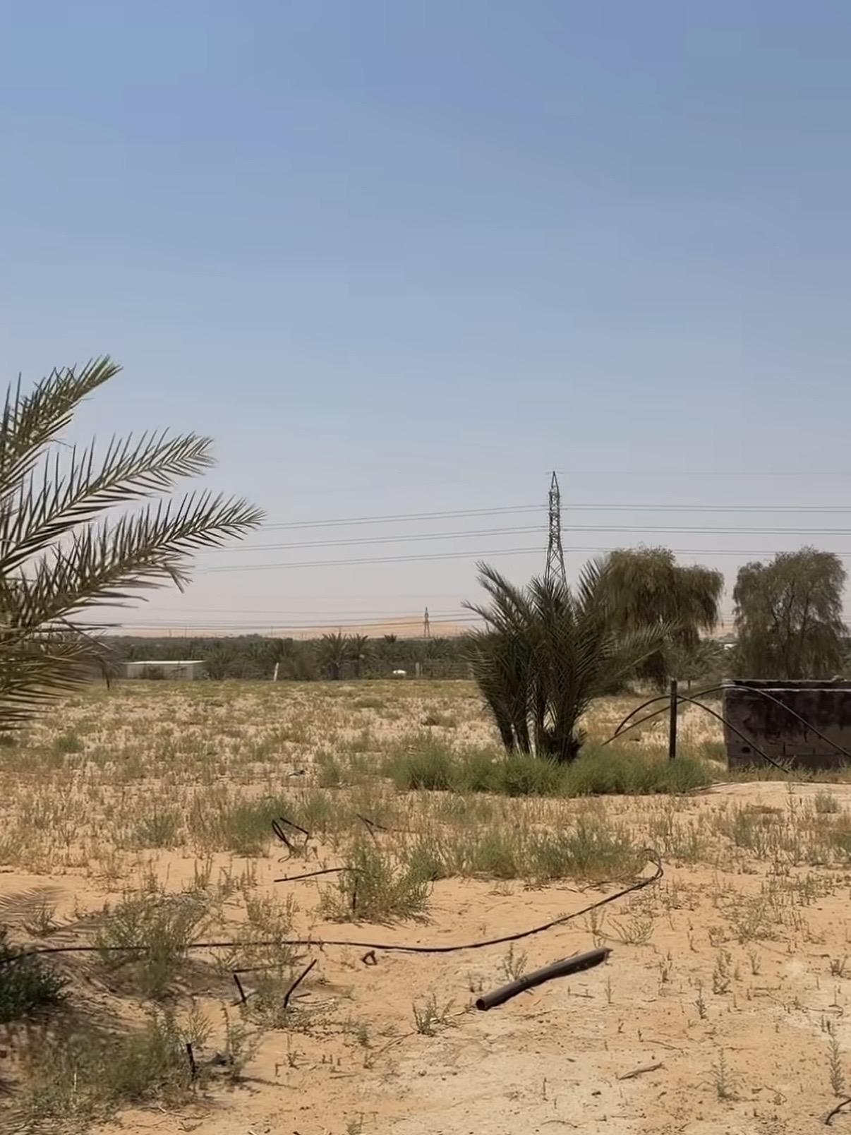 مزرعة رماح خط ابوظبي - العين