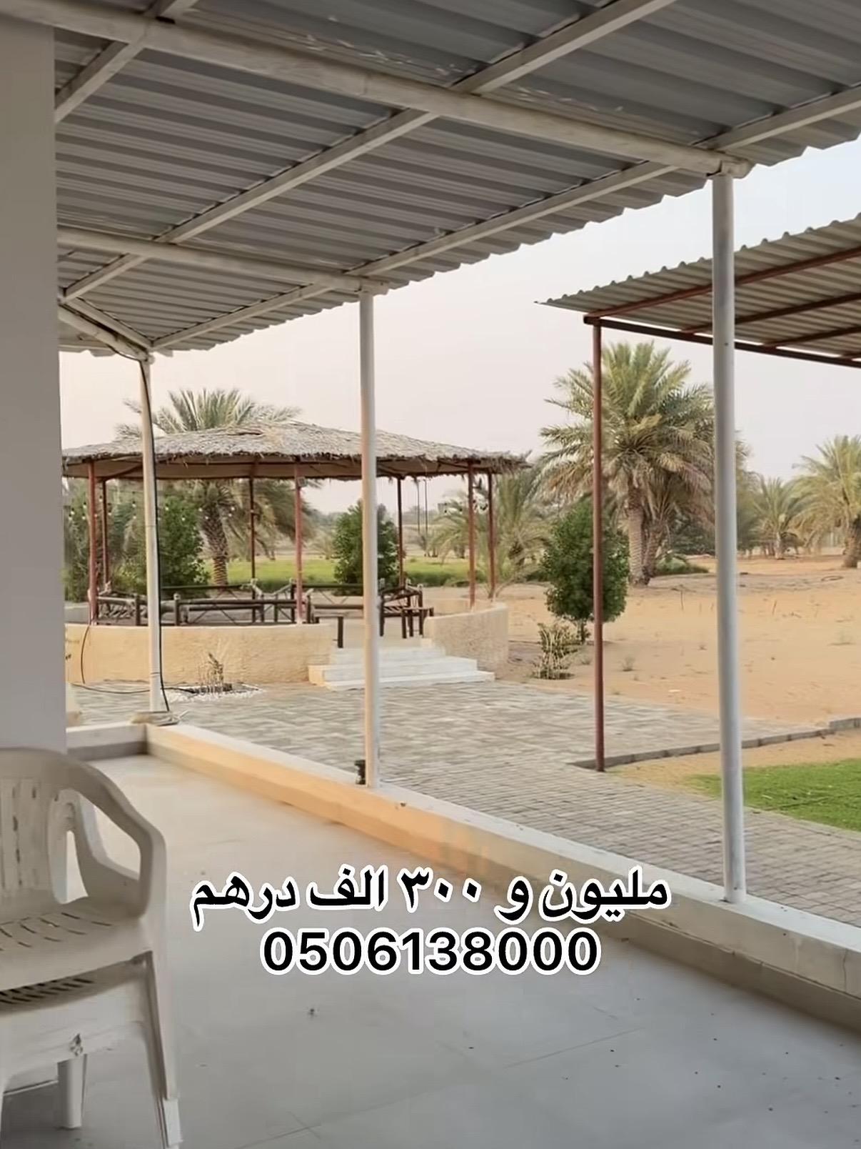 مزرعة رماح نقا اللحمة