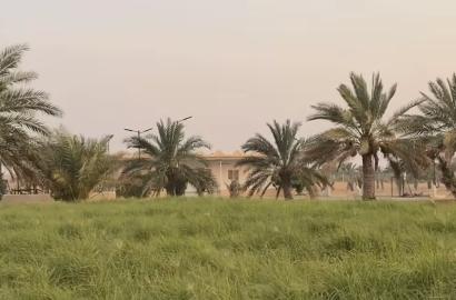 مزرعة رماح نقا اللحمة