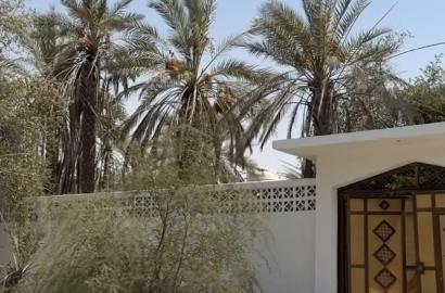بيت شعبي في المرفأ