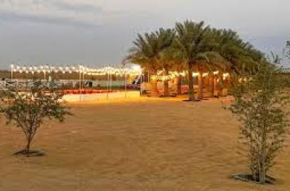 تداول العزب بين الأفراد في إمارة أبوظبي