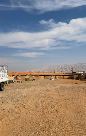 3 عزب الظاهرة