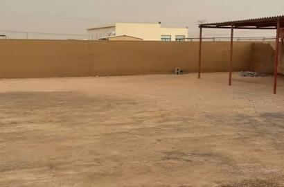 عزبة هجن الوثبة