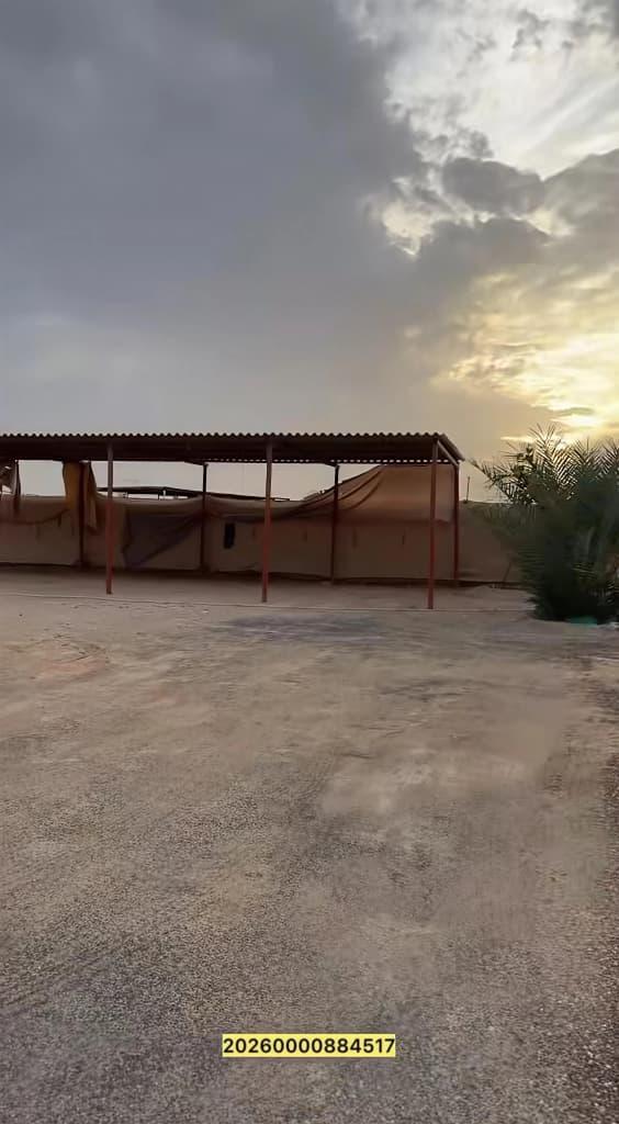 عزبة هجن الوثبة