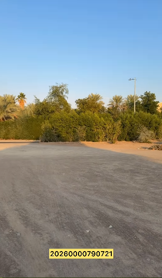 أرض استثمارية المويجعي