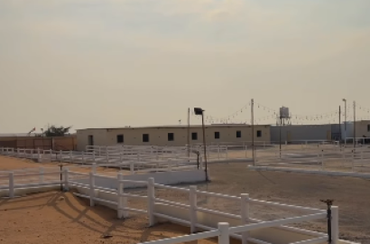 VIP stable for sale in Al Adla area