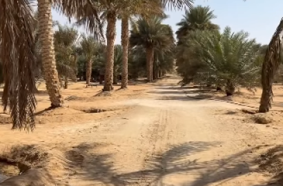 Liwa, the report of Al-Ghuitat