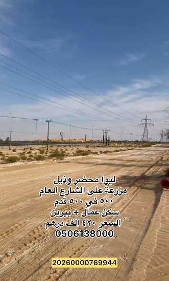 ليوا محضر وذيل