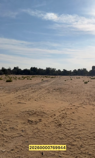 ليوا محضر وذيل