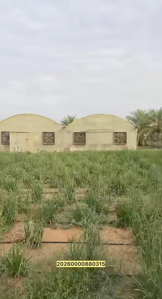 مزرعة العجبان سيح مدران العين