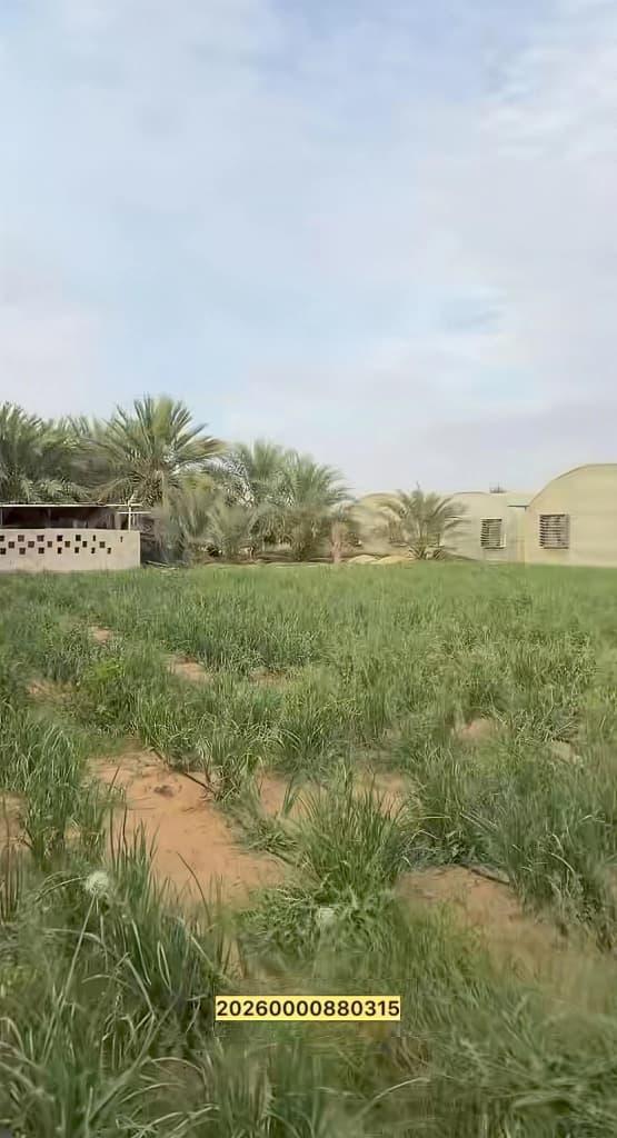 مزرعة العجبان سيح مدران العين
