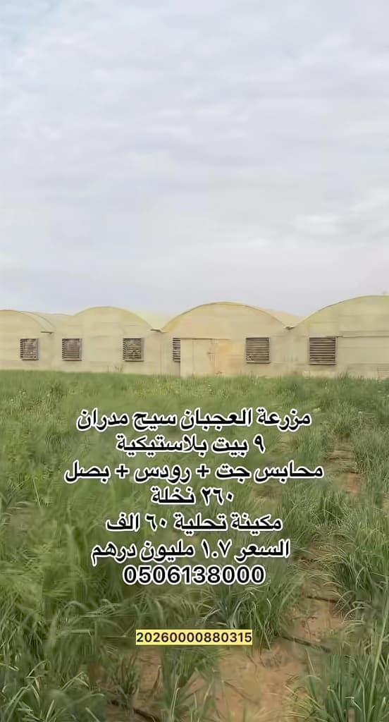 مزرعة العجبان سيح مدران العين