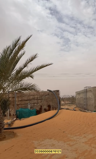 Al Arad Farm, Al Ain