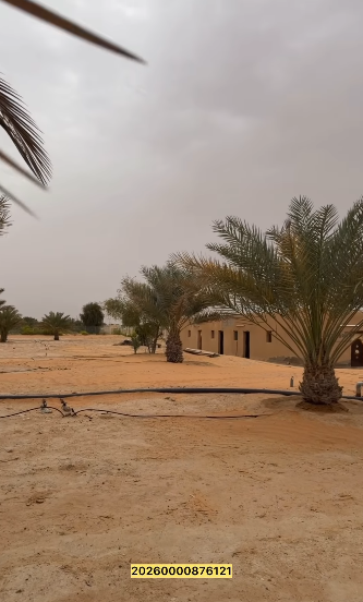 Al Arad Farm, Al Ain