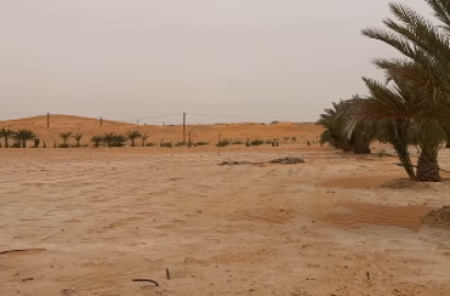 Al Arad Farm, Al Ain