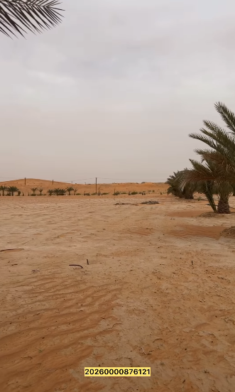 Al Arad Farm, Al Ain