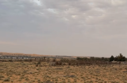 Al-Hayer Ghum Farm