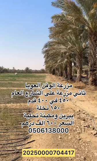 مزرعة للبيع الوقن العويا