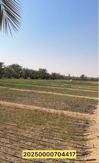 مزرعة للبيع الوقن العويا