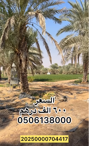 مزرعة للبيع الوقن العويا