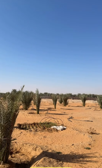 مزرعة الوقن حوض السيح