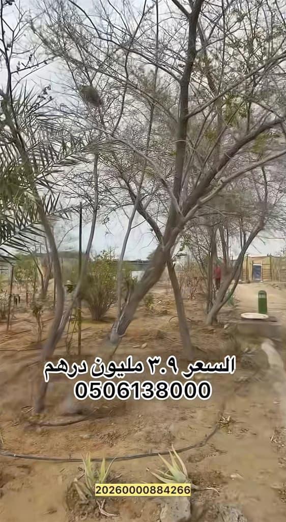 مزرعة الرحبة