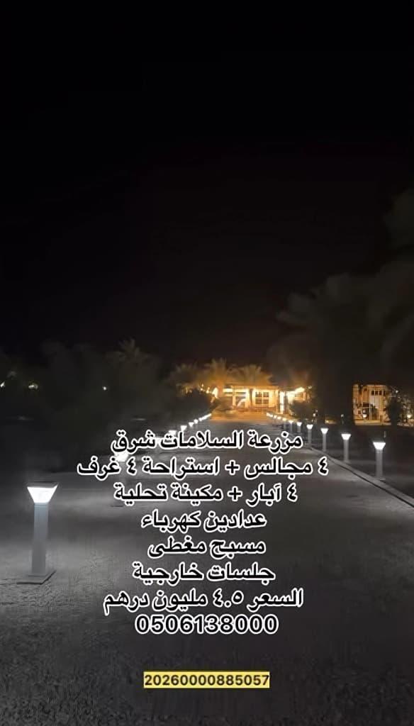 مزرعة السلامات شرق تحت شعبية عالية