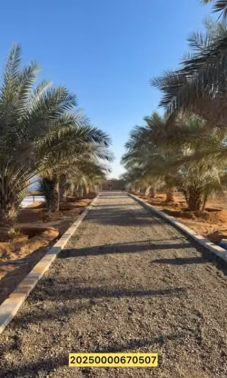 مزرعة الظاهرة العين