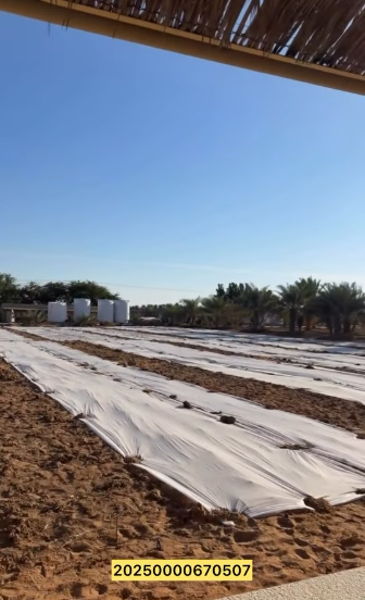 مزرعة الظاهرة العين