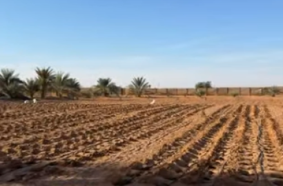 Al Dhahirah Farm Al Ain
