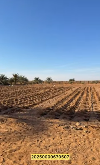 مزرعة الظاهرة العين