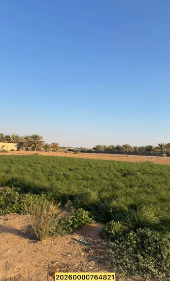 مزرعة بوكرية العين