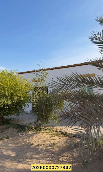 مزرعة للبيع الختم الشبيصي شرق