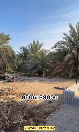 مزرعة للبيع الختم الشبيصي شرق