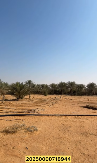 مزرعة للبيع في العراد