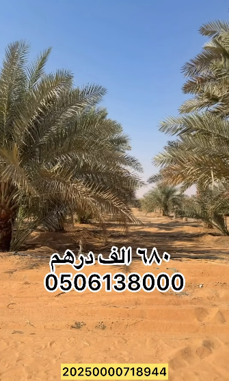 مزرعة للبيع في العراد