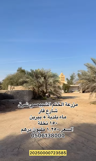 مزرعة للبيع في الختم الشبيصي