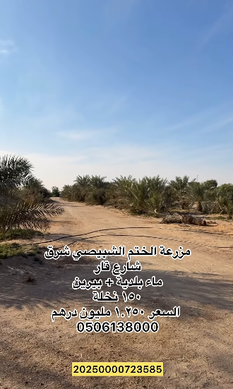 مزرعة للبيع في الختم الشبيصي