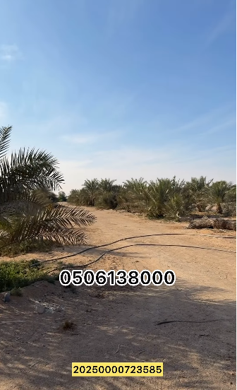 مزرعة للبيع في الختم الشبيصي