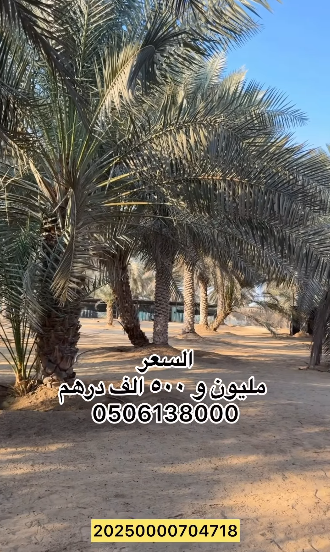 مزرعة للبيع في ليوا سيح الخير