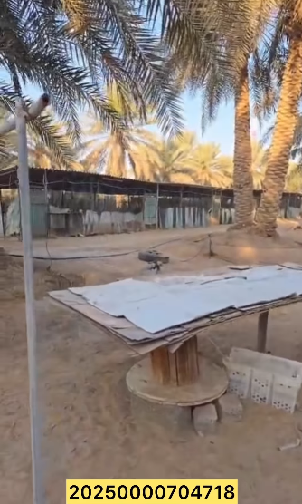 مزرعة للبيع في ليوا سيح الخير