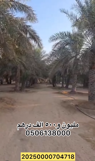 مزرعة للبيع في ليوا سيح الخير